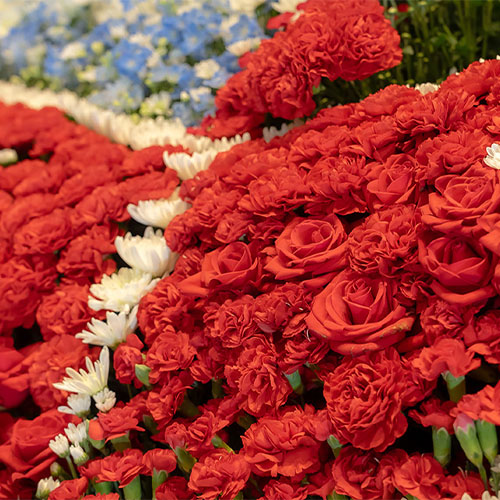 葬儀撮影サービス|燈が用意した赤い献花のクローズアップ